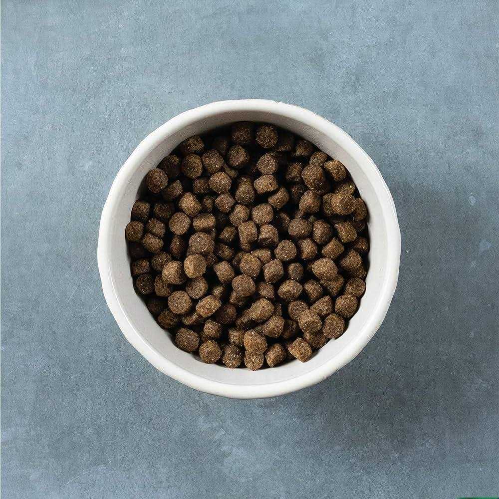 Grain Free Turkey and Sweet Potato Dog Food X28535