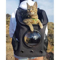 Cat Backpack M32931