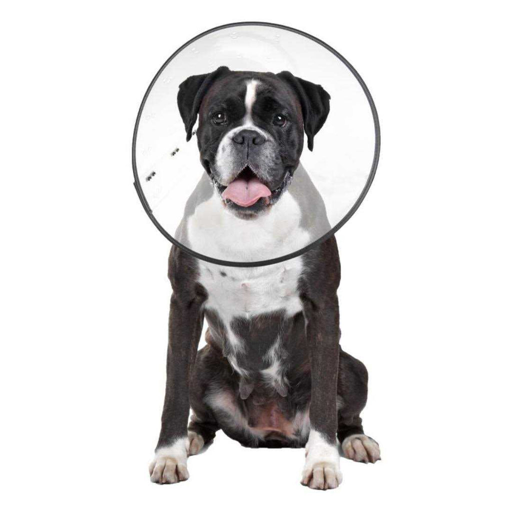 Clear Recovery Collar L736529