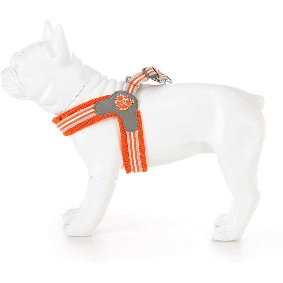 Dog Harness C982627