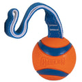 Dog Toy B30594