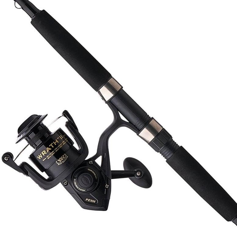 Spinning Reel and Fishing Rod Combo D813
