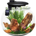 14 Gallon Polycarbonate Bowl-Shaped Aquarium V7757