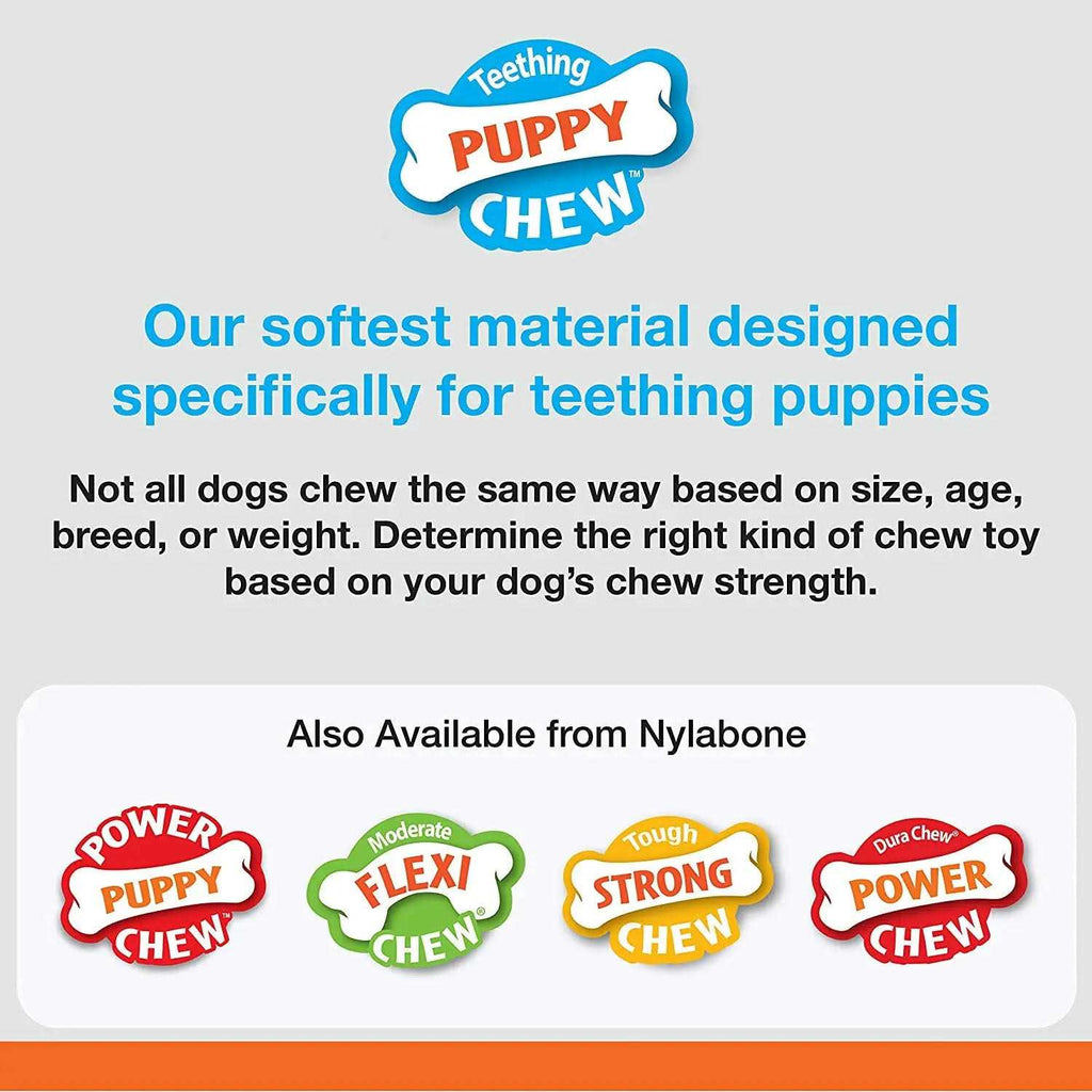 Chill & Chew Bone A8456