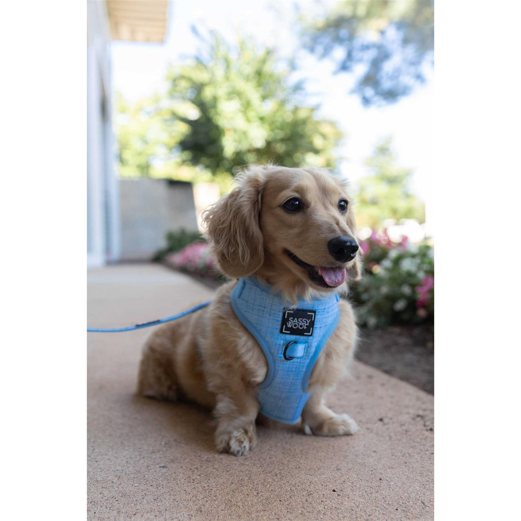 Adjustable Harness R269