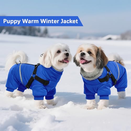 Black Dog Winter Jacket with Harness P221