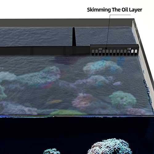26.23 Gallon Rimless Low Iron Glass Aquarium Tank with Rear Filtration I63259