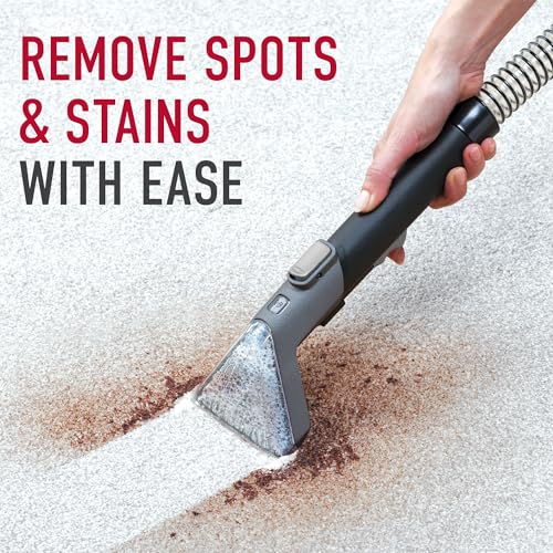 Portable Carpet and Upholstery Spot Cleaner Machine L220