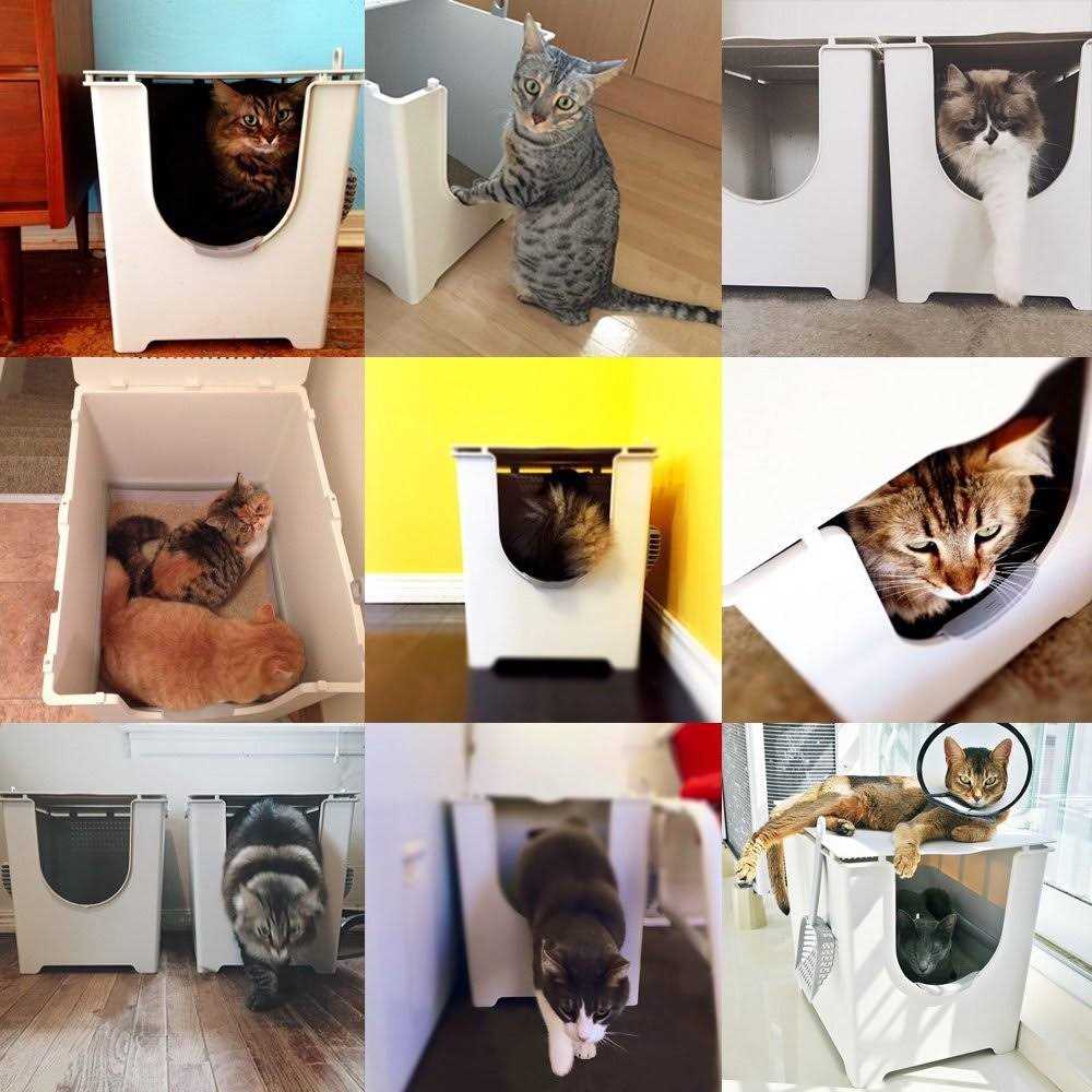 Flip Litter Box with Scoop and Reusable Liner G2582