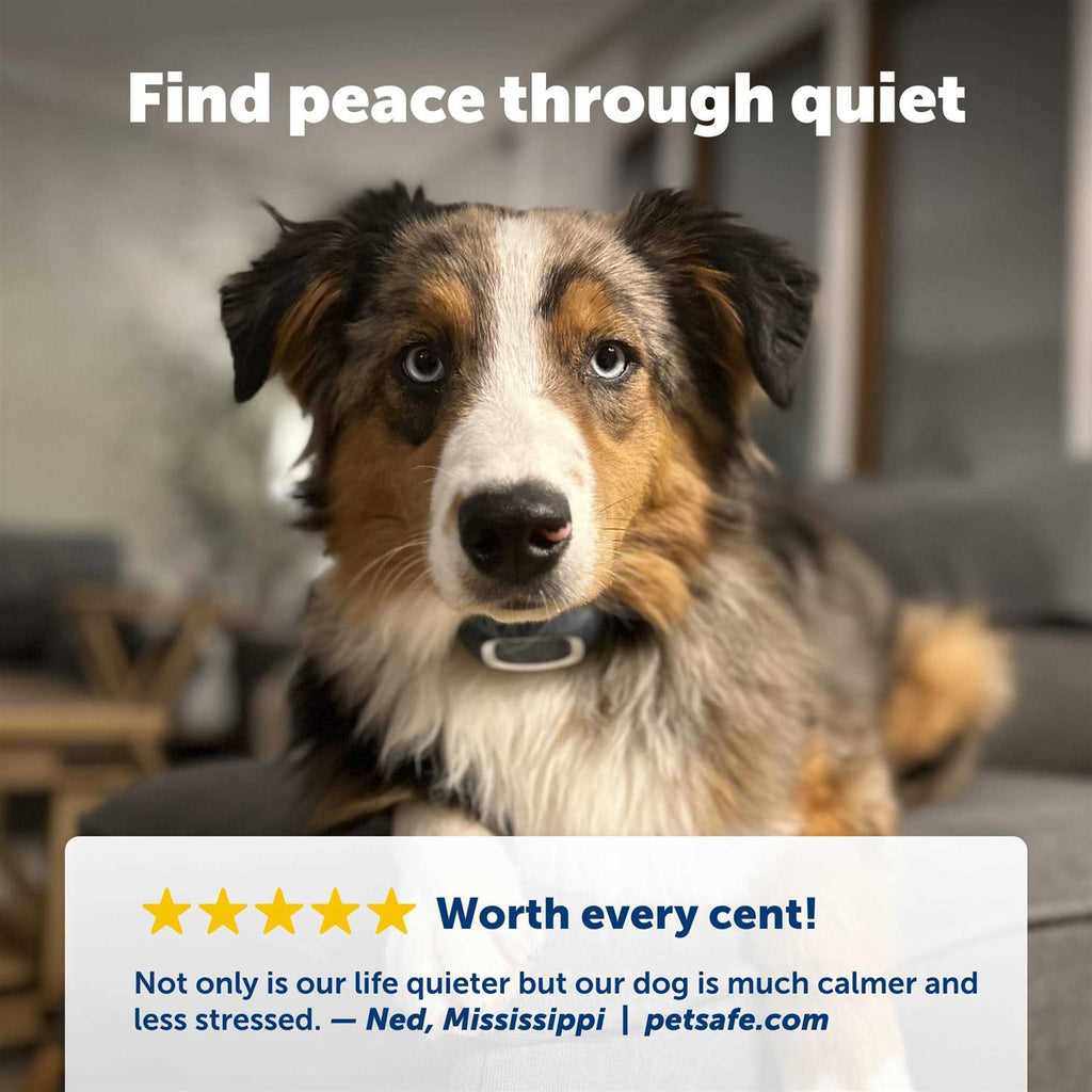 Bark Collar G41385