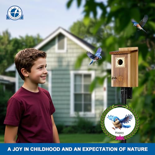 2 Pack Cedar Bird House with Copper Guard S4822