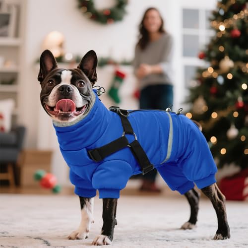 Black Dog Winter Jacket with Harness P221