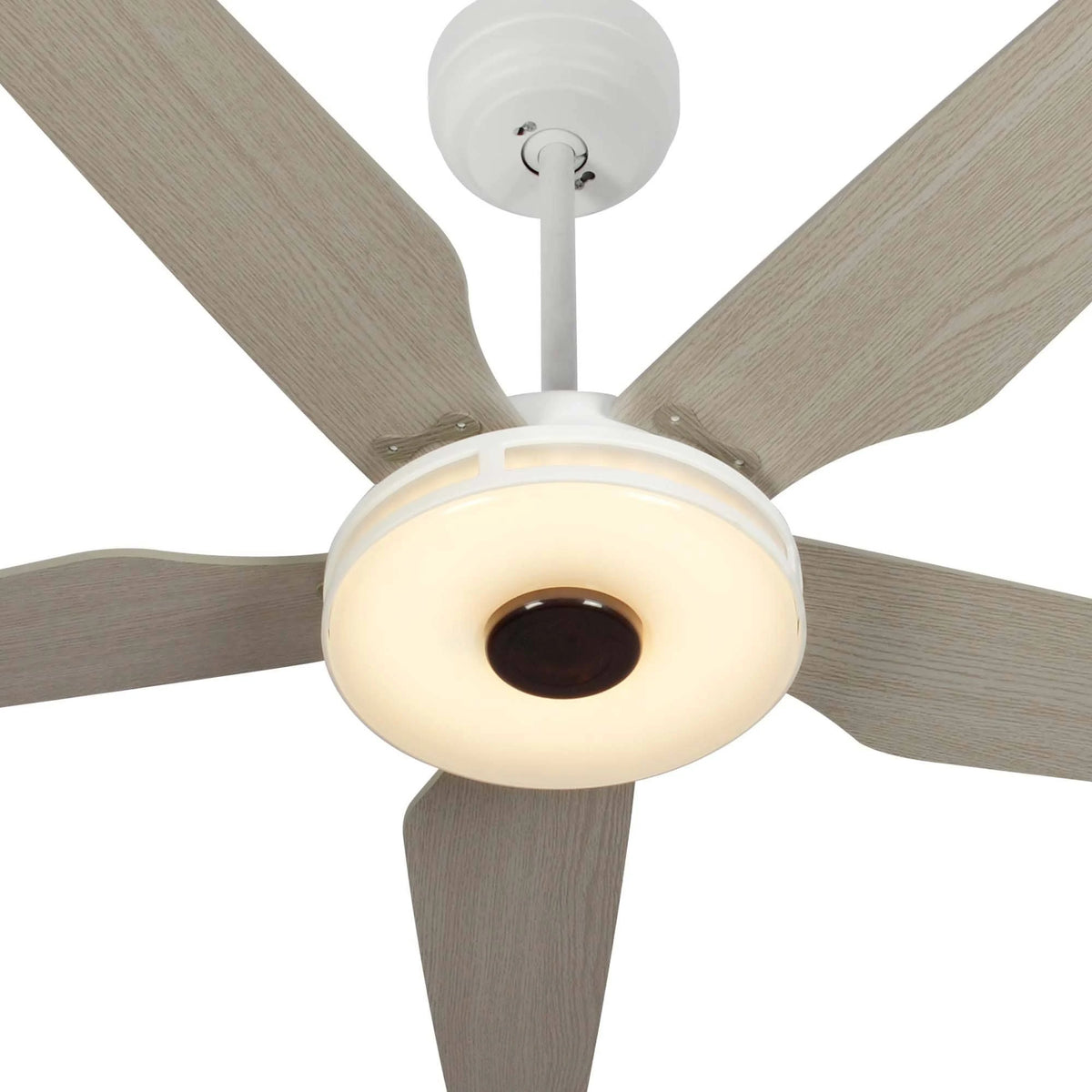 Modern Wood Smart Ceiling Fan Y3659