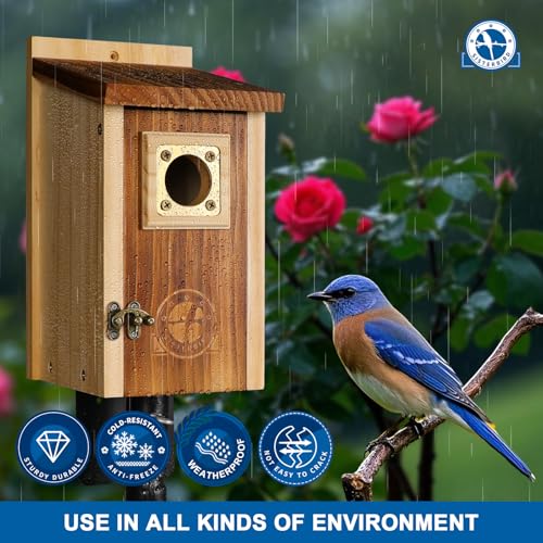 2 Pack Cedar Bird House with Copper Guard S4822