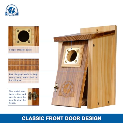 2 Pack Cedar Bird House with Copper Guard S4822