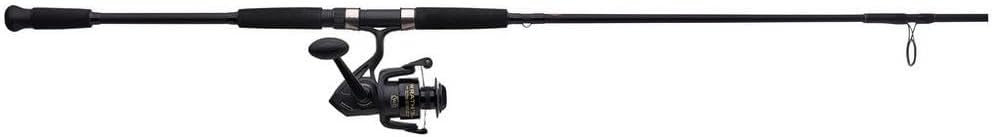 Spinning Reel and Fishing Rod Combo D813