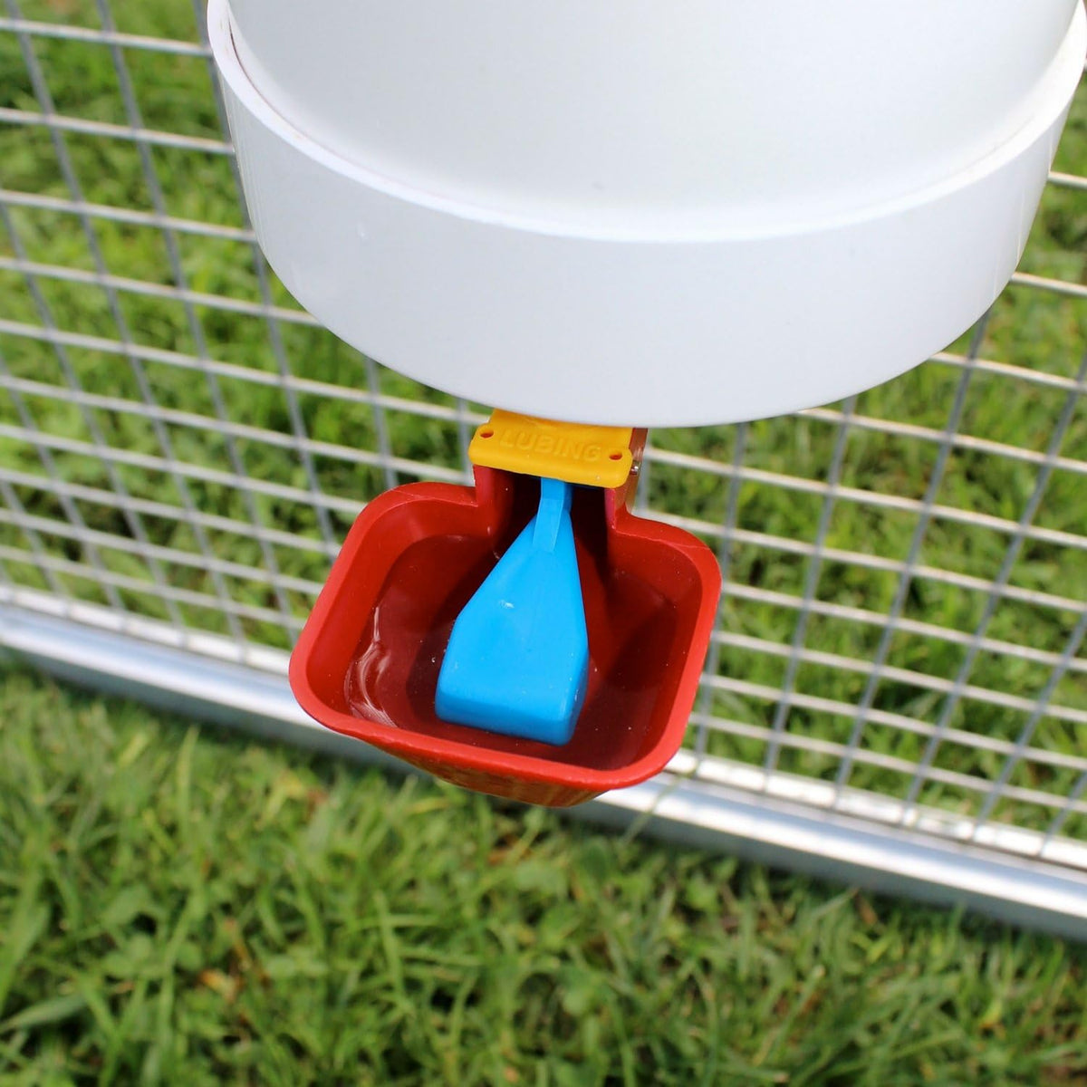 1 Gallon Automatic Chicken Waterer with Gravity-Feed Valve-Operated Cup O382
