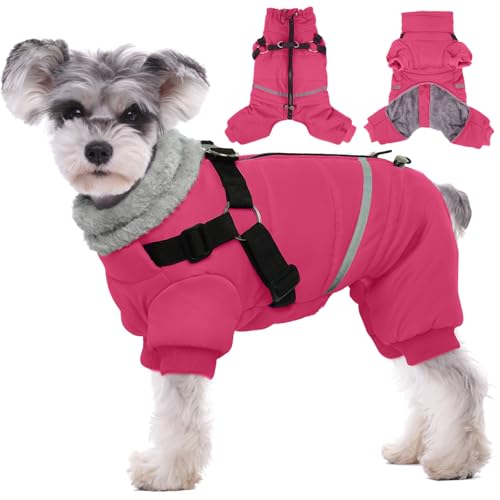 Black Dog Winter Jacket with Harness P221
