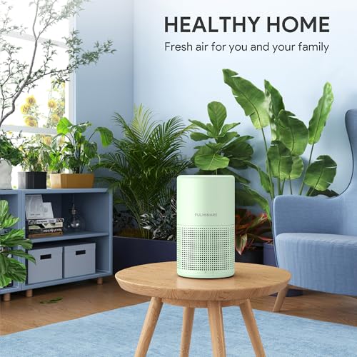 H13 True HEPA Air Purifier with Night Light S848