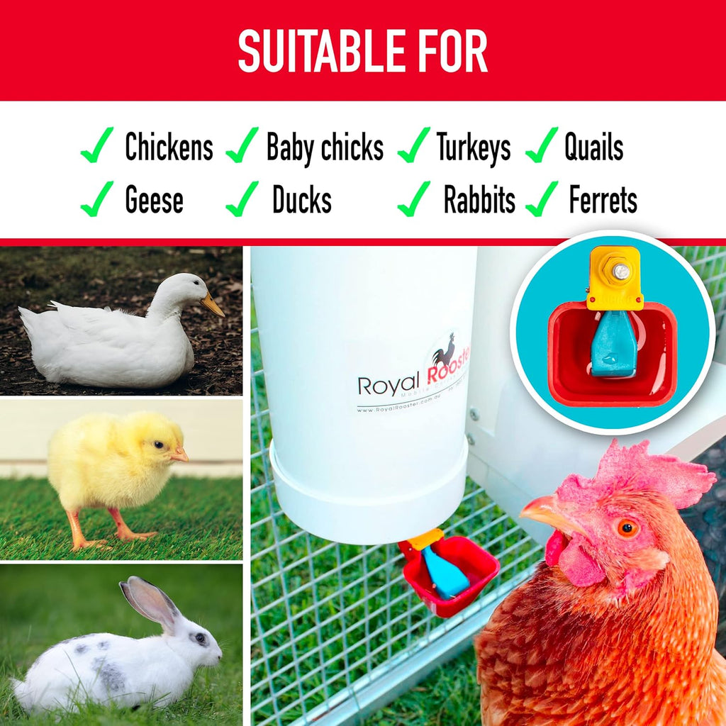 1 Gallon Automatic Chicken Waterer with Gravity-Feed Valve-Operated Cup O382