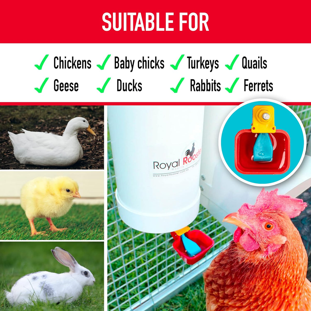 1 Gallon Automatic Chicken Waterer with Gravity-Feed Valve-Operated Cup O382