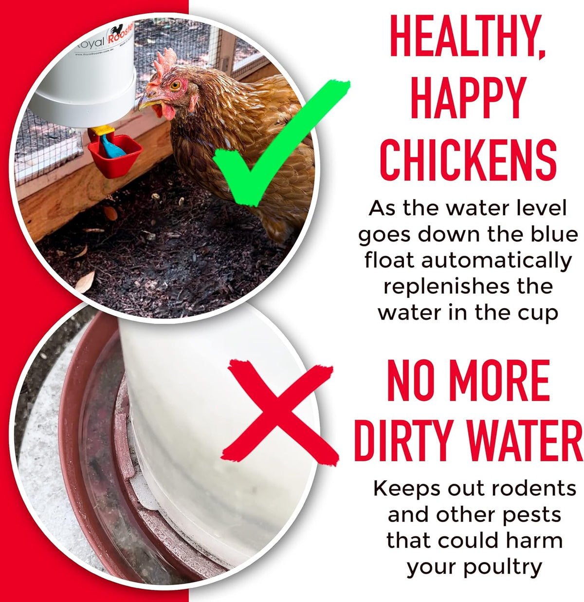 1 Gallon Automatic Chicken Waterer with Gravity-Feed Valve-Operated Cup O382