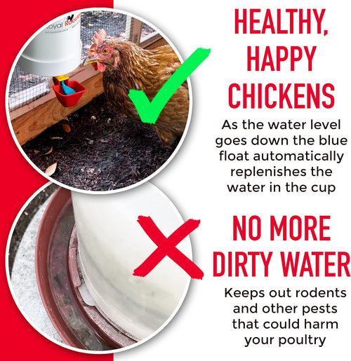 1 Gallon Automatic Chicken Waterer with Gravity-Feed Valve-Operated Cup O382