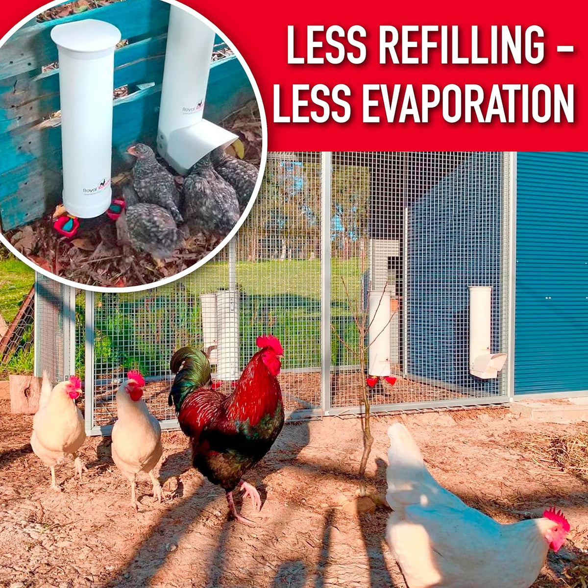 1 Gallon Automatic Chicken Waterer with Gravity-Feed Valve-Operated Cup O382