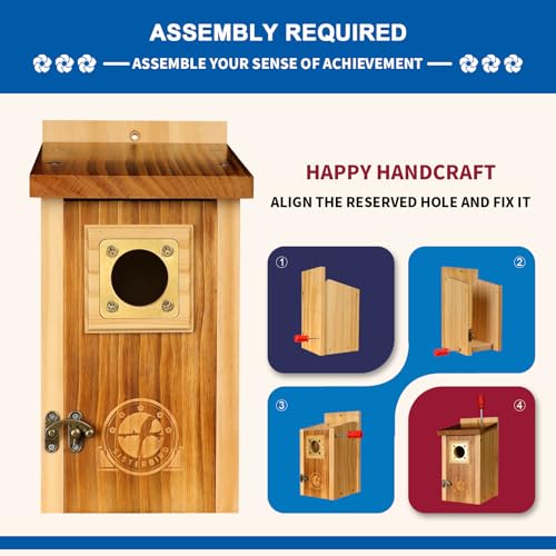 2 Pack Cedar Bird House with Copper Guard S4822