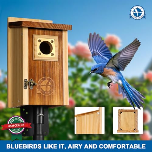 2 Pack Cedar Bird House with Copper Guard S4822