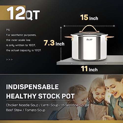 3 Ply Stainless Steel 8 Quart Stock Pot with Lid W69463