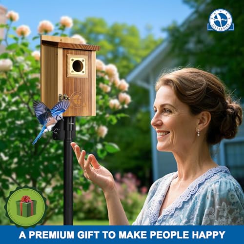 2 Pack Cedar Bird House with Copper Guard S4822