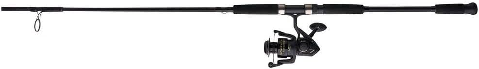 Spinning Reel and Fishing Rod Combo D813