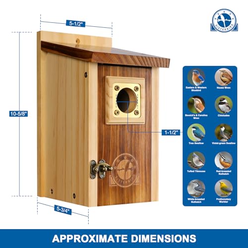 2 Pack Cedar Bird House with Copper Guard S4822