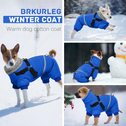 Black Dog Winter Jacket with Harness P221