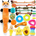 21 Pack Small Dog Chew Toys with Rope Toys R453350