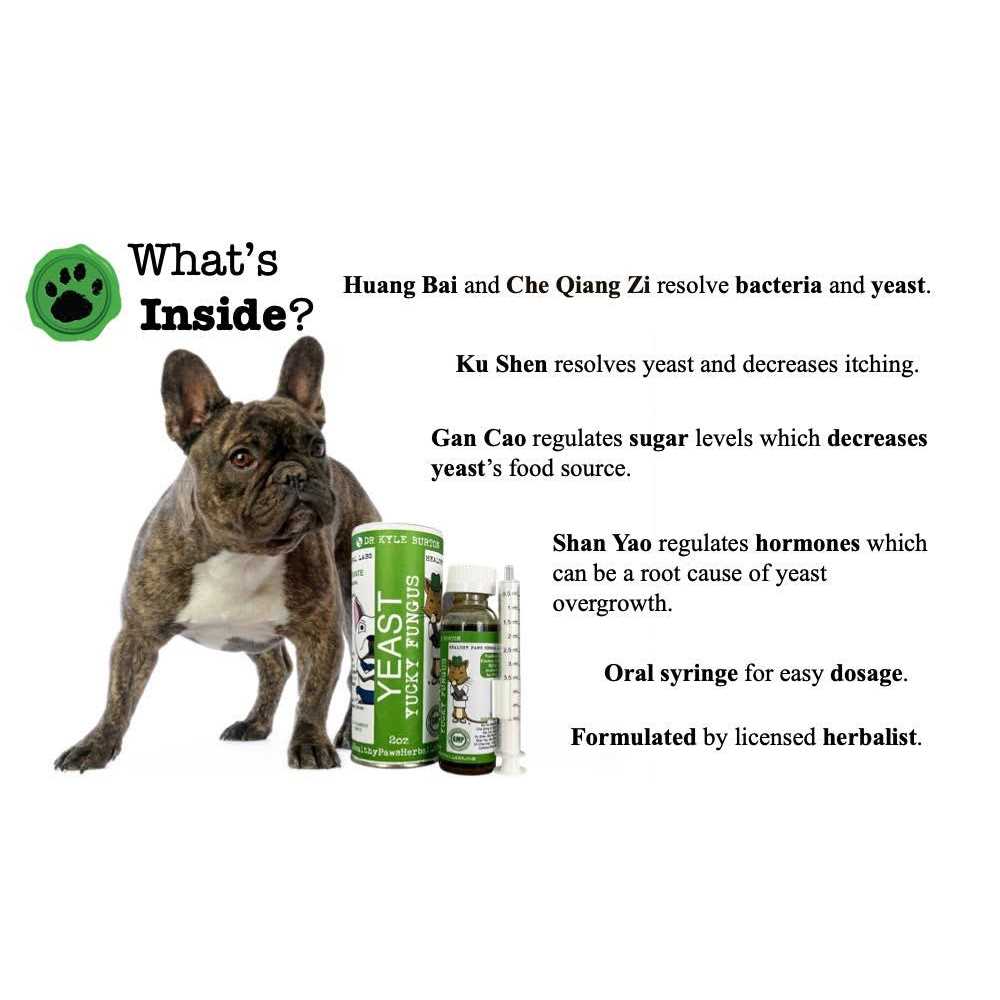 Liquid Supplement for Dog Yeast & Fungus E88755