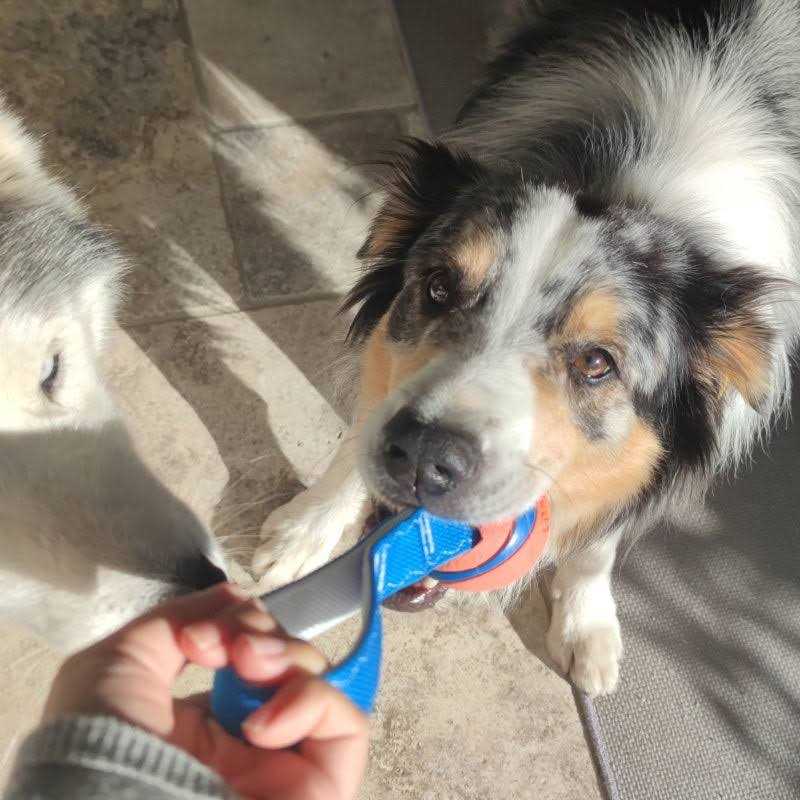 Dog Toy B30594