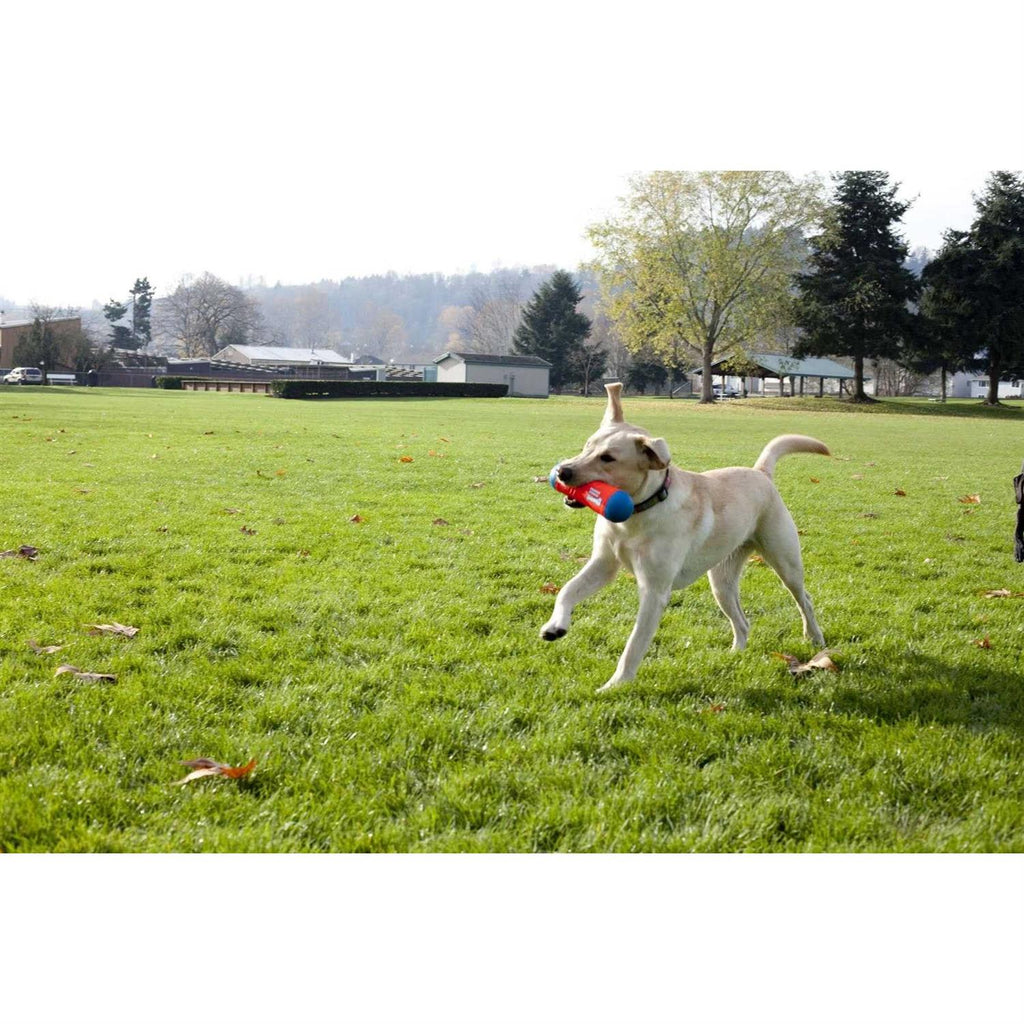 Dog Toy P8109