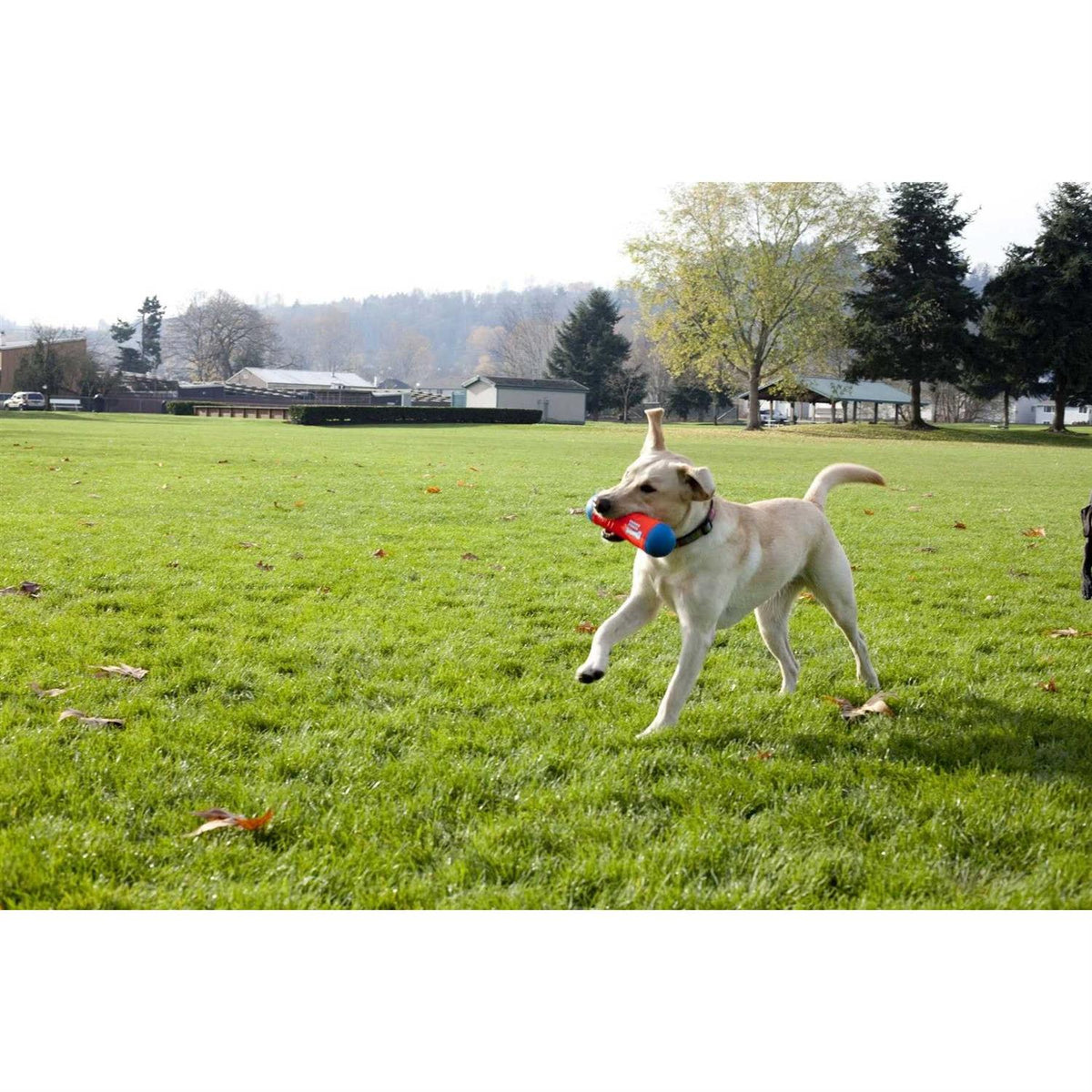 Dog Toy P8109