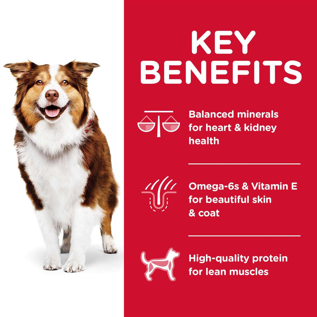Chicken Adult 7+ Dog Food M540290