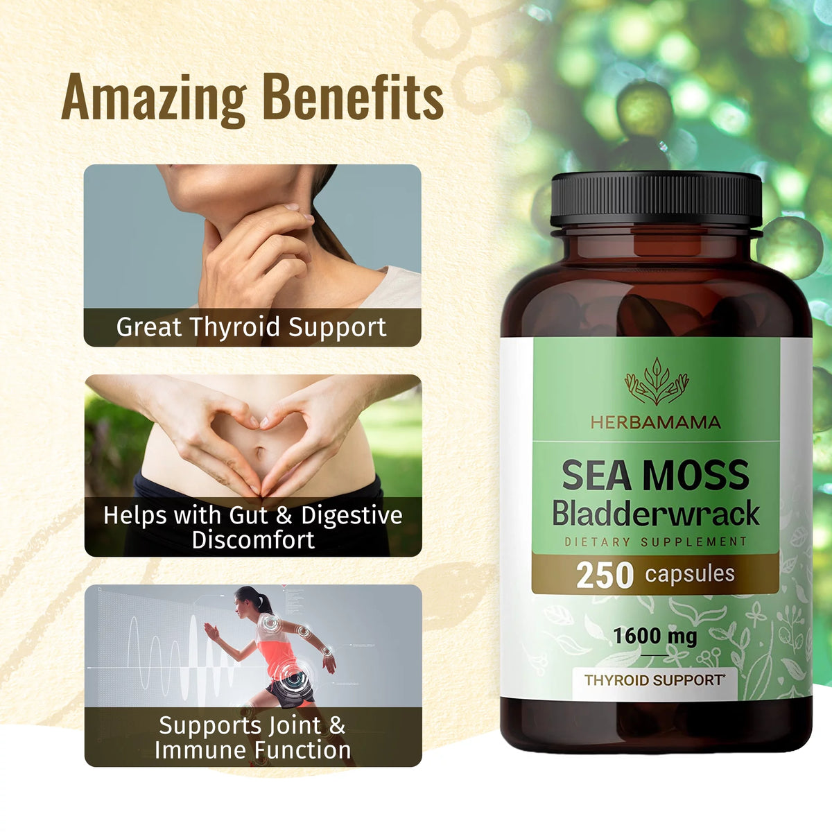 Sea Moss & Bladderwrack Capsules 250 Caps B16804