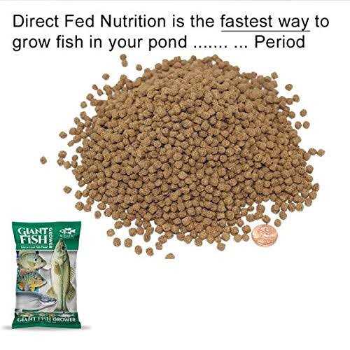 Giant Fish Grower E48524