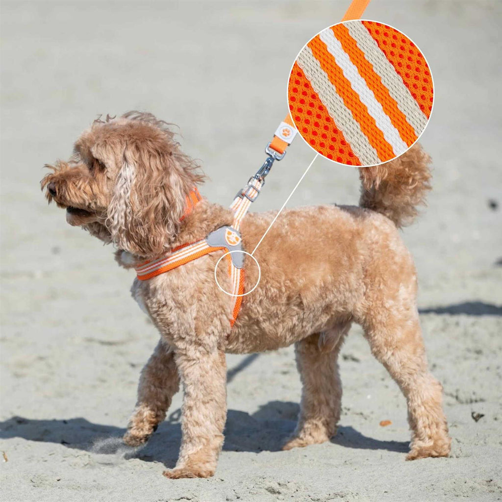 Dog Harness C982627