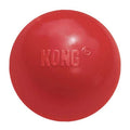 Dog Toy Ball D899