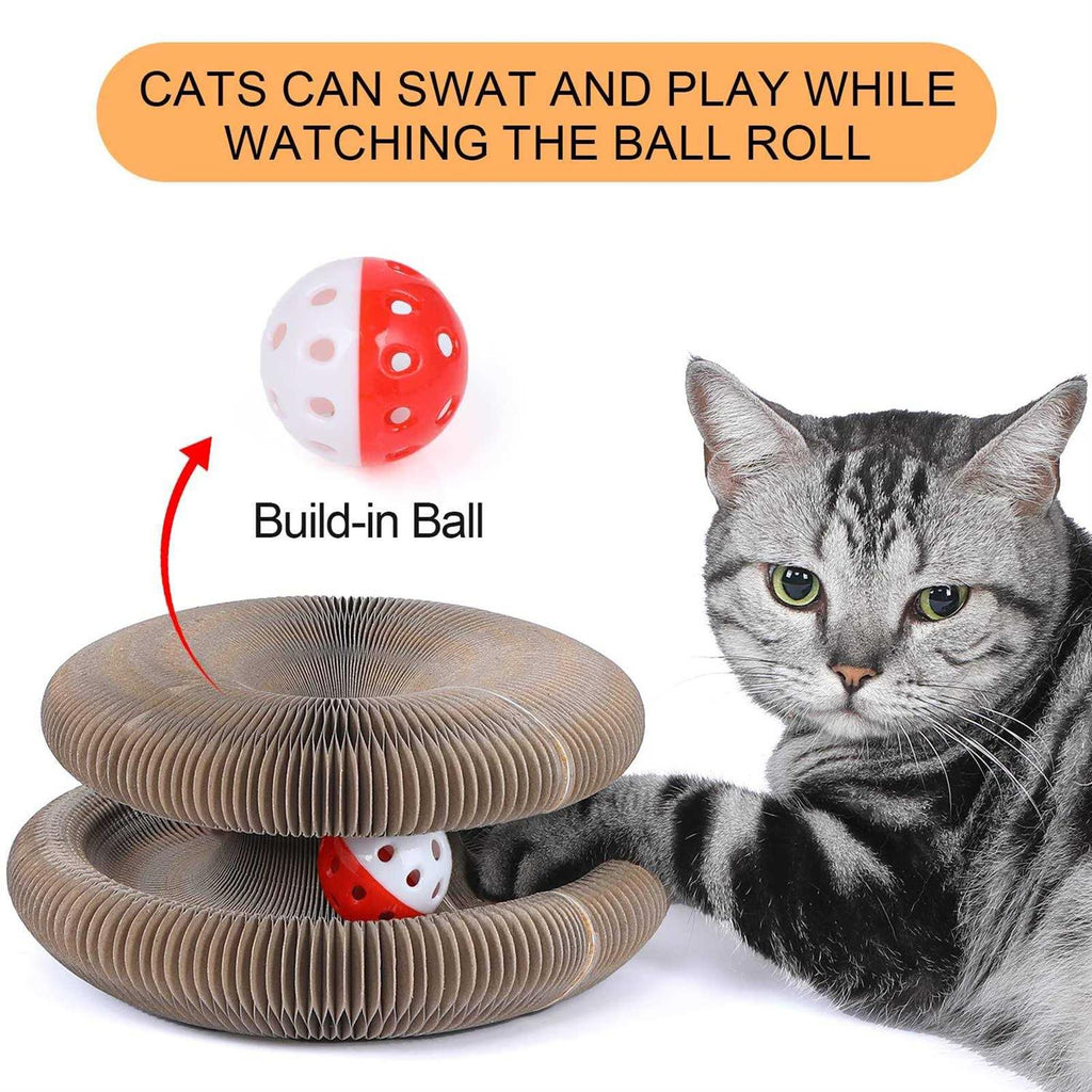 Magic Cats Scratching Board with Ball T5529