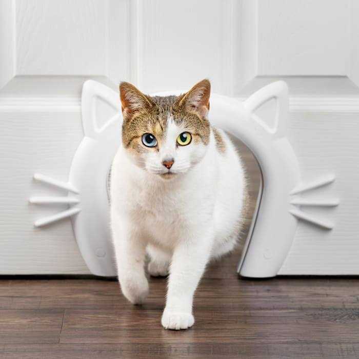 Cat Door Cat Corridor for Interior Doors E47605