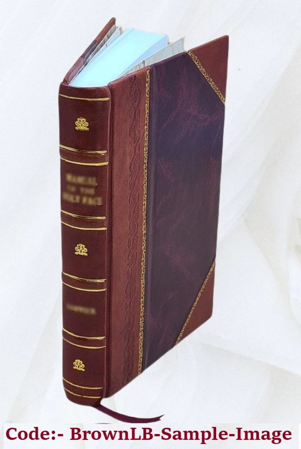 Leather Bound Book H294
