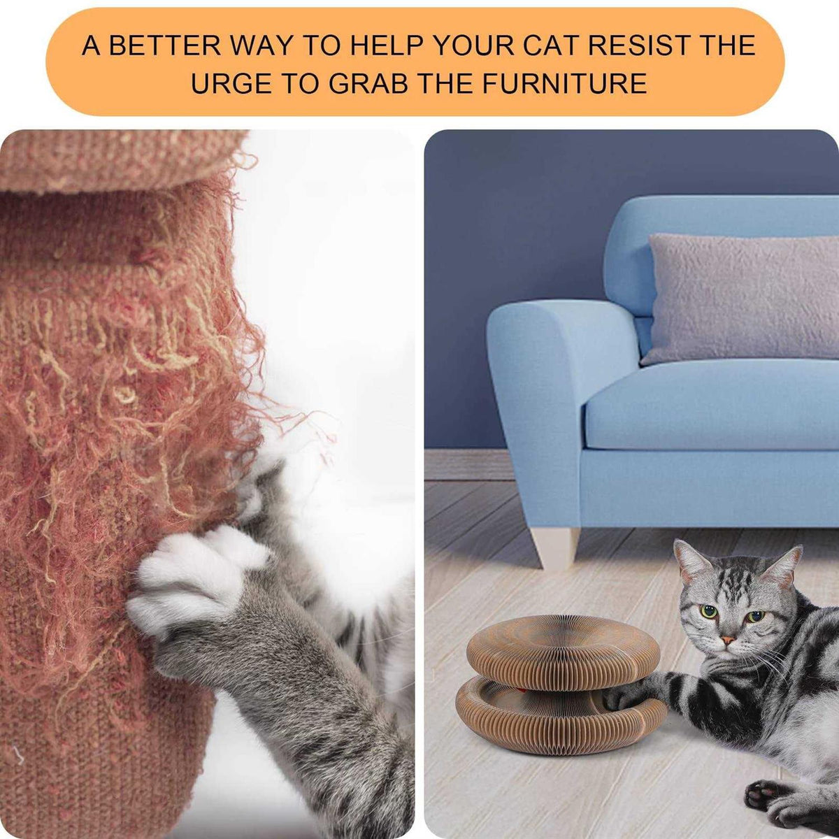 Magic Cats Scratching Board with Ball T5529