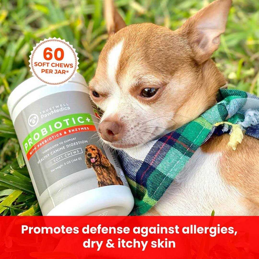 Dog Probiotics and Digestive Enzymes B213999